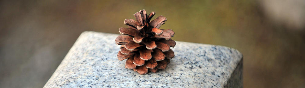 Mountain Oak Properties